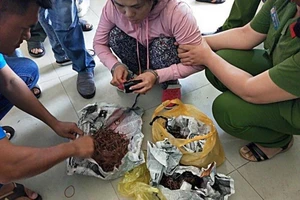 Phá đường dây ma túy lớn ở Phan Rí Cửa