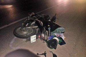 Truy tìm ô tô cán chết 2 người rồi bỏ trốn