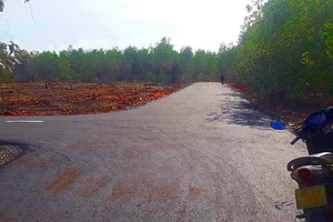 Ngưng chuyển quyền sử dụng 17 ha đất sai phạm tại Phan Thiết