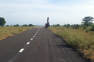 Gần 2 km đường nhựa 'mọc' trên đất nông nghiệp