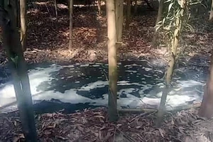 Trại heo xả thải ra nguồn cung cấp nước cho nhà máy La Gi