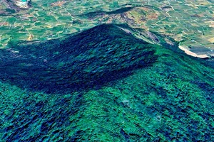 Dự án vùng đệm khu bảo tồn Tà Kóu chỉ tồn tại trên giấy