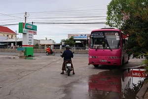 Bình Thuận dừng toàn bộ xe buýt, xe du lịch trên 9 chỗ