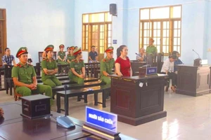 Người từng được đình chỉ điều tra bị phạt 13 năm tù