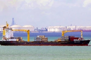 Thuyền viên tàu Vega Kappa mất tích khi rơi xuống biển Mũi Né