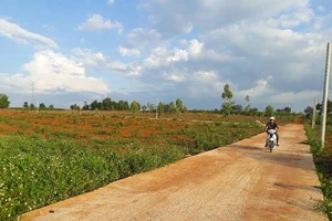 Kiến nghị khởi tố nhiều cán bộ cho phép phân lô bán nền