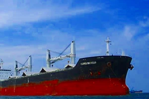 Giám sát không cho 16 thuyền viên nước ngoài lên bờ