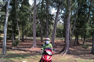 Yêu cầu Bình Thuận báo cáo các dự án đất đai có sai phạm