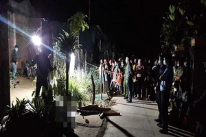 Bình Thuận: Bênh mẹ ruột, con riêng đánh chết cha dượng 