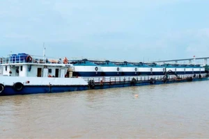 Truy tìm tàu Bạch Đằng 'biến mất' khỏi vùng biển Mũi Né