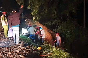 1 phụ nữ tử vong dười hố ven đường ở Bình Thuận