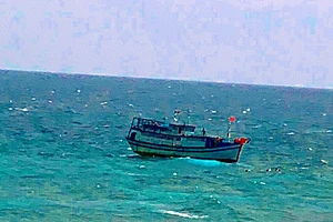 8 thuyền viên nhảy xuống biển Phú Qúy bơi vào bờ để trốn khai báo