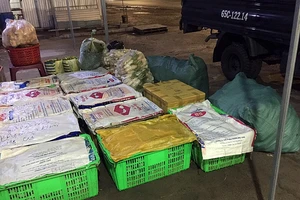 Cảm động cô gái lái xe tải trắng đêm tiếp tế thực phẩm cho TPHCM