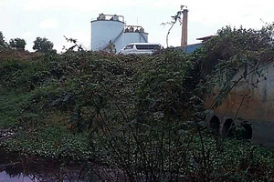 Đồng Nai - Bình Thuận lại phối hợp xử lý vụ cá chết trên sông Giêng