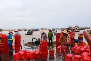 Đóng cửa Cảng cá La Gi từ 0 giờ ngày 24-7 