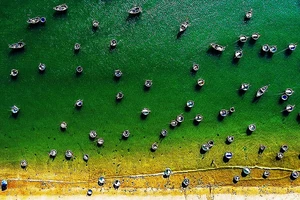 Chọn nhà thầu quy hoạch chung xây dựng Khu du lịch quốc gia Mũi Né