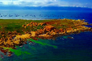 Muốn nhận chìm trên vùng biển Bình Thuận phải trả 20.000 đồng/m3