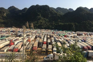 Từ 17-1, dừng nhận xe chở hoa quả tươi qua cửa khẩu Lạng Sơn xuất qua Trung Quốc