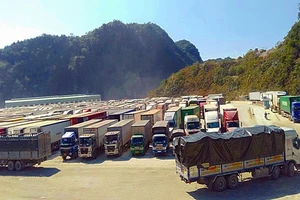 Nhà xuất khẩu khóc ròng vì phương án 'cắt đầu container'