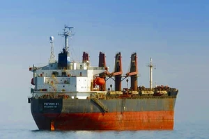 Tàu Liên bang Nga cứu 2 thuyền viên trôi trên biển Bình Thuận