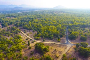 Bình Thuận xử phạt 1 doanh nghiệp hơn nửa tỉ đồng vì tự ý chuyển mục đích đất