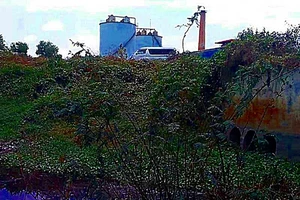 Cá chết nổi trắng trên sông Giêng giáp ranh Đồng Nai, Bình Thuận