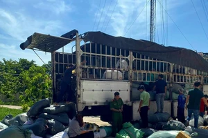 Bình Thuận: Bắt xe tải chở hàng ngàn linh kiện điện tử, đồ điện không rõ nguồn 