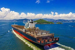 6 tàu lớn nước ngoài tham gia tìm kiếm thuyền viên Bình Thuận mất tích