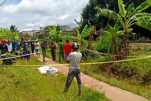 Băng qua đường sắt không quan sát, người đàn ông bị tàu tông thiệt mạng