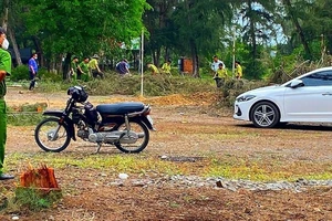 Tỉnh ủy Bình Thuận yêu cầu tiếp tục làm rõ 1 công ty du lịch triệt phá rừng dương