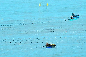 Kết thúc tìm kiếm ngư dân mất tích do lật thúng trên biển Bình Thuận