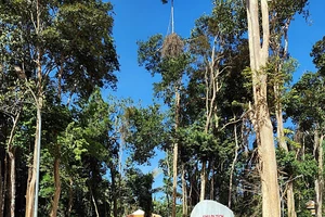 Chuẩn bị khánh thành Khu di tích Căn cứ Tỉnh ủy Bình Thuận 