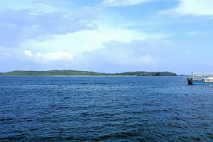 1 thuyền viên lặn xuống biển gỡ lưới vướng vào chân vịt tàu rồi mất tích