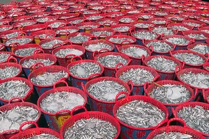 Cơ hội cho nước mắm, thanh long Bình Thuận đổ bộ vào các siêu thị lớn