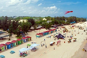 Bình Thuận dừng hoạt động chở du khách bằng xe bò trên bãi biển