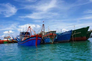 Xử phạt vụ 1 tàu cá 'cõng' 2 thiết bị giám sát hành trình của 'tàu ma'