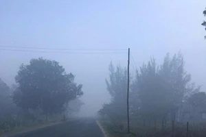 Hỗ trợ cho dân hơn 400 triệu do ô nhiễm từ cháy bãi rác ở Bình Thuận