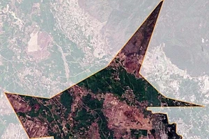 Phục hồi điều tra vụ cho thuê trái phép 6 ha đất công tại Bình Thuận