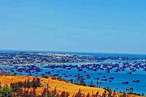 Bí Thư Bình Thuận: Không có chuyện đồng ý xây dựng cảng cá ở vịnh Mũi Né