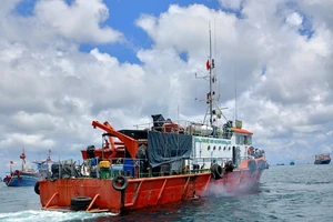 Bị cá kiếm đâm vào bụng, một thuyền viên đang nguy kịch