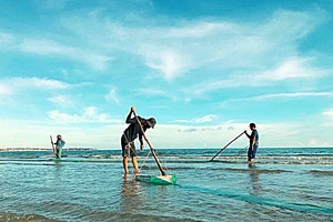 Nhóm bảo kê người thu mua chang chang ở Bình Thuận bị bắt