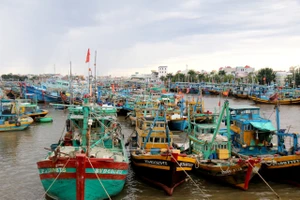 Gần 2.000 tàu cá ở Bình Thuận sẽ được hỗ trợ thuê bao thiết bị vệ tinh VMS