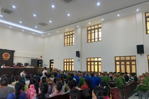 Bình Thuận: Năm 2023 mỗi ngày tòa án giải quyết hơn 14 vụ ly hôn