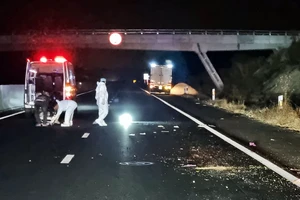 Mở phong tỏa cao tốc Phan Thiết- Dầu Giây sau vụ tai nạn hy hữu