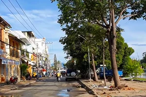 'Kho báu' ven sông Cà Ty đã từng có người xin khai quật hơn 30 năm trước