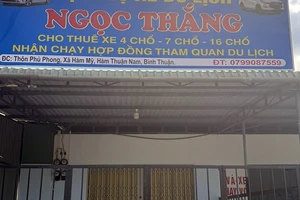 Nhóm người thuê 7 ô tô ở Phan Thiết rồi mang đi cầm cố
