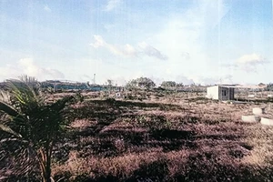 Người dân thắng kiện chủ tịch huyện giòn giã ở cả 2 cấp tòa