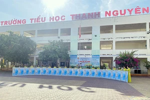 Bình Thuận: Giám đốc Công ty TNHH Thanh Nguyên bị tạm hoãn xuất cảnh