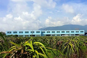 Cơ quan Cảnh sát điều tra tiếp nhận kiến nghị khởi tố sai phạm đất đai tại Bình Thuận 