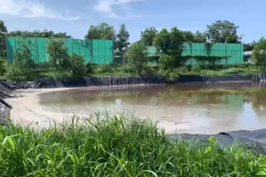 Phạt 430 triệu đồng trang trại heo nằm trên đồi cao xả thải vượt qui định